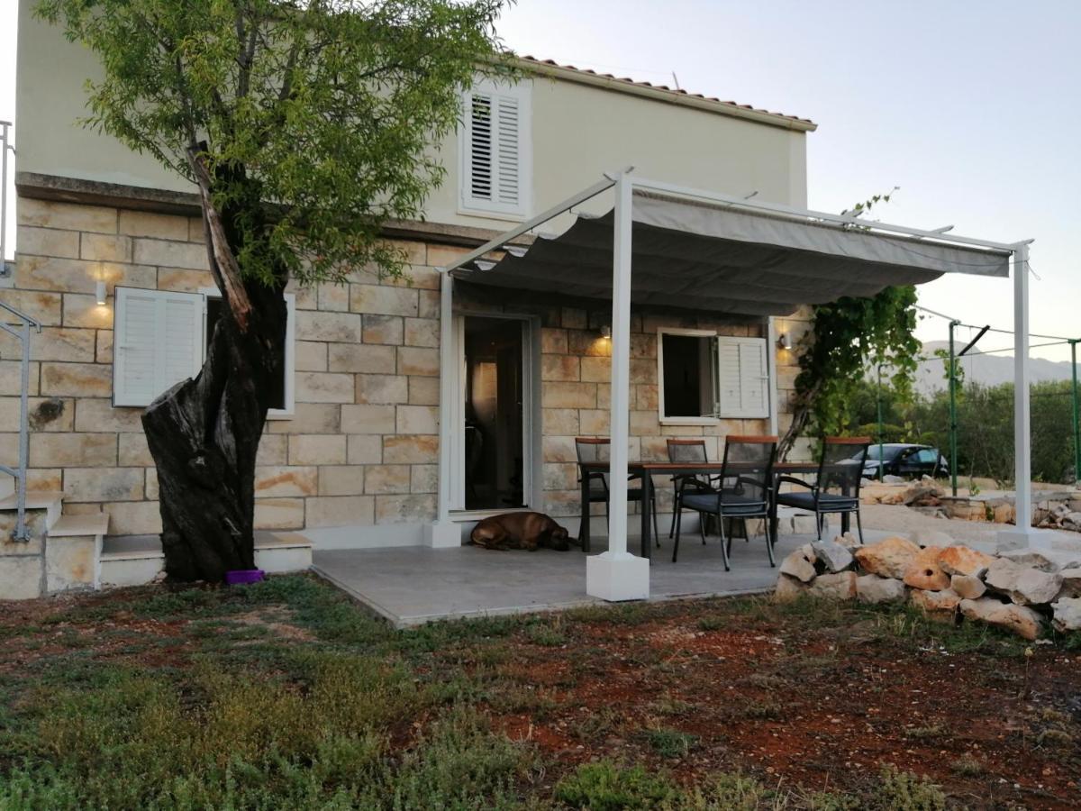 Willa Olive Grove House Lumbarda Zewnętrze zdjęcie